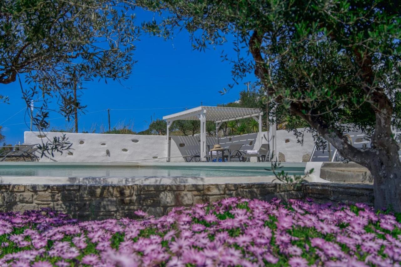 Anthemion Paros - Villas & Suites Agia Irini  Buitenkant foto