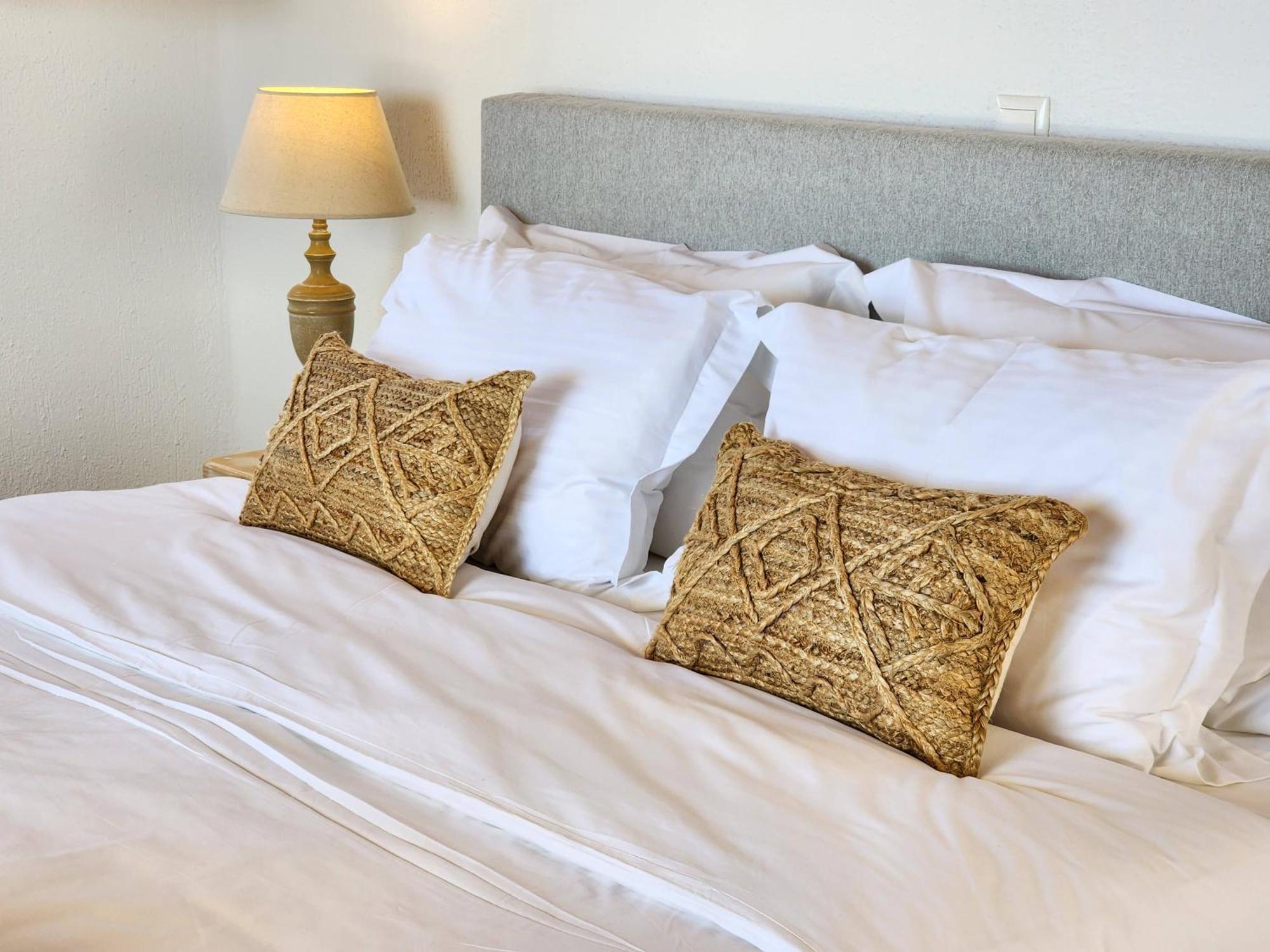 Anthemion Paros - Villas & Suites Agia Irini  Buitenkant foto